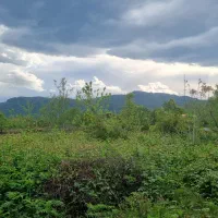 زمین مسکونی ۳۸۰ متری