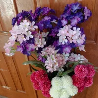 گل ها در چهار رنگ