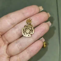 گوشواره نو نو اصلا استفاده نشده|جواهرات|زنجان, |دیوار