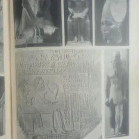 تاریخ عمومی معماری جهان باستان|کتاب و مجله آموزشی|تهران, شهمیرزادی|دیوار