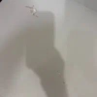تخت نوجوان و پاتختی