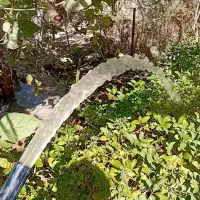 چاه کن|خدمات پیشه و مهارت|بوشهر, |دیوار