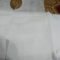 الگوی رگالی