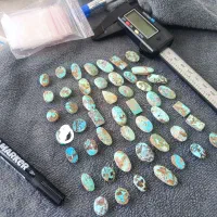 بار جدید نیشابور رسید