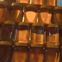 عسل گون اصلی ساکروز زیر ۳ بومی کرمانشاه|خوردنی و آشامیدنی|کاشان, ملاصدرا|دیوار