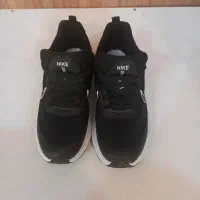 کفش|کیف، کفش، کمربند|مشهد, الهیه|دیوار