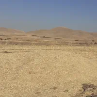 کاه گندم|حیوانات مزرعه|کنگاور, |دیوار