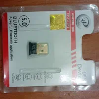 دانگل بلوتوث و یک رم DDR2