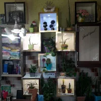 باکس هر کدوم ۲۰۰ ت