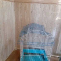 قفس پرنده|لوازم جانبی حیوانات|شیراز, شهرک بهار|دیوار