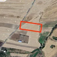 یک هکتار زمین دیم