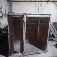 قفس پرنده