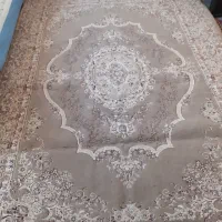 قالی ۶متری|فرش|گلبهار, شهر جدید گلبهار|دیوار