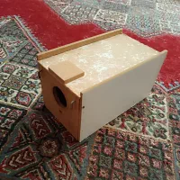 لانه مرغ عشق