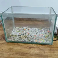 آکواریم کوچک همراه با دستگاه اکسیژن