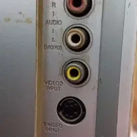 تلویزیون ۲۹ اینچ|تلویزیون و پروژکتور|گنبد کاووس, |دیوار