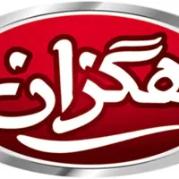 استخدام ویزیتور