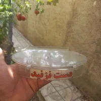 جای کفش برای ویترین