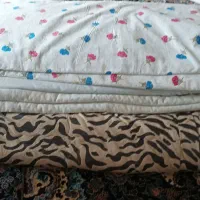 تشک و پتو و رو تختی|رختخواب، بالش، پتو|بندر انزلی, میان پشته|دیوار