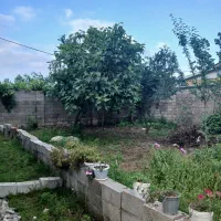 زمین-سند-دار