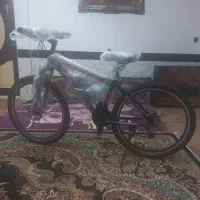 دوچرخه|دوچرخه، اسکیت، اسکوتر|ملایر, |دیوار