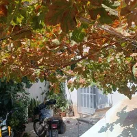 فروش منزل مسکونی|فروش خانه و ویلا|شیراز, تندگویان|دیوار
