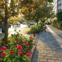 فروش زمین بر جاده
