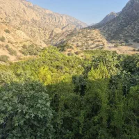 زمین طرح معلم
