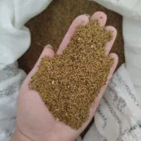 تخم یونجه|خدمات باغبانی و درختکاری|جنت, |دیوار