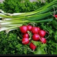 سبزی خورشتی درجه یک۶۰۰۰۰