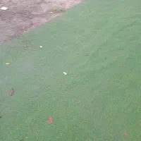 چم۲۵میل مصنوعی اسیا