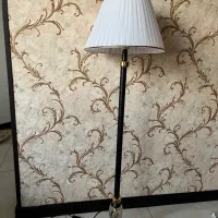 اباژور کاملانو ایستاده