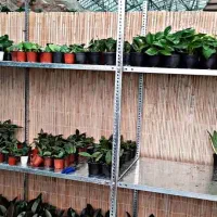 تولیدی قفسه پیچ و مهره ایی اضافه بار زیر قیمت|فروشگاه و مغازه|کرج, محمد آباد|دیوار