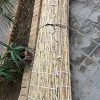 حصیر نو اضافه فروشی