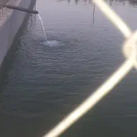 ۱۰هکتار باغی وکشاورزی فروش فوری تا پایان هفته|فروش دفتر صنعتی، کشاورزی، تجاری|شیراز, داریون|دیوار