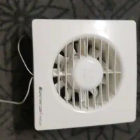فن