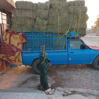 یونجه درجه یک