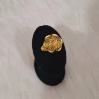 طلابخر، آینده روببر