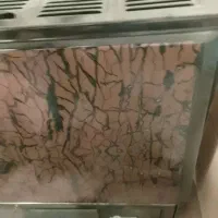 بخاری ایران شرق بزرگ