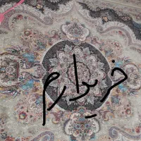 فرش ۶متری|فرش|قزوین, |دیوار