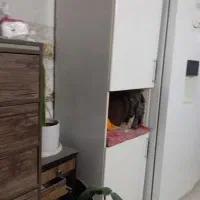 کمد جا ظرف|جاکفشی، کمد، دراور|تهران, طیب|دیوار