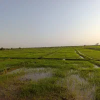 زمین چلتوک همراه با پمپ خاور صفر یه ماه کار کرده