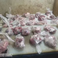 گوشت تازه،مستقیم از دامداری با خدمات کامل|خوردنی و آشامیدنی|قم, بیانی|دیوار