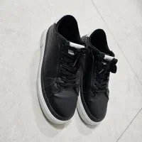 کفش|کیف، کفش، کمربند|گناباد, |دیوار