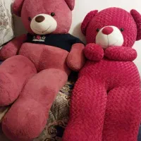 خرس خارجی باکیفیت کاملاسالم وبزرگ وارتفاع حدود۲متر