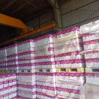 تولید و فروش سفره یکبارمصرف بصورت عمده|ظروف نگهدارنده، پلاستیکی، یک‌بارمصرف|بستان آباد, |دیوار