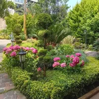 علف تراشی هرس کردن سمپاشی