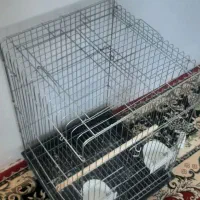 قفس|لوازم جانبی حیوانات|کرمانشاه, |دیوار