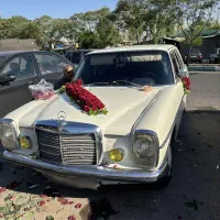 بنز ۲۰۰ معماری مدل ۱۹۷۳ عروسک