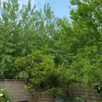 ویلا باغ با تمامی امکانات ترو تمیز  صومعه سرا|اجارهٔ کوتاه‌مدت ویلا و باغ|صومعه‌سرا, |دیوار
